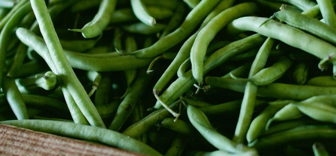 Tales from the Cave (Otherwise Known As My Office)