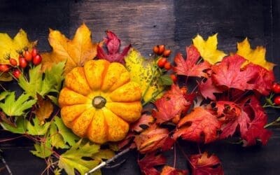 Beyond the Pumpkin Spice Latte (PSL)