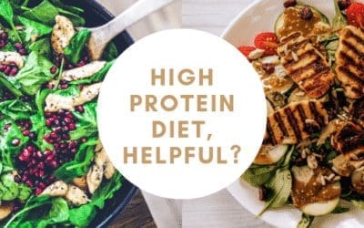 High Protein Diet, Helpful?