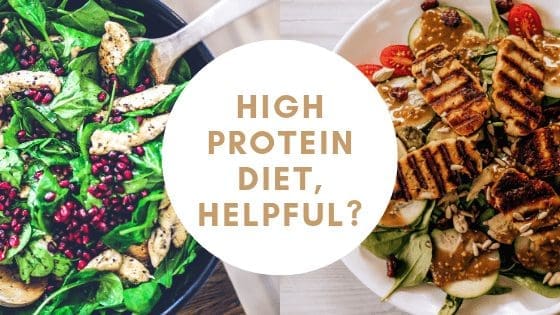 High Protein Diet, Helpful?