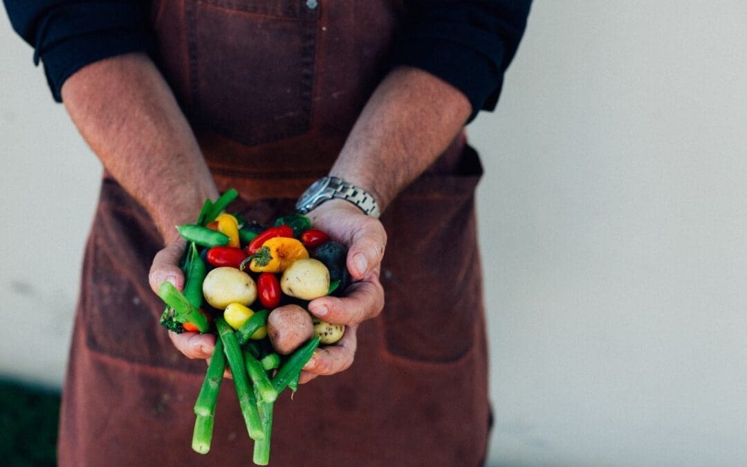 Going Green: An Eco-Friendly Approach to Catering